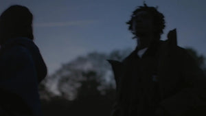 See Into The Trees