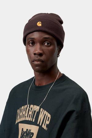 Chase Beanie